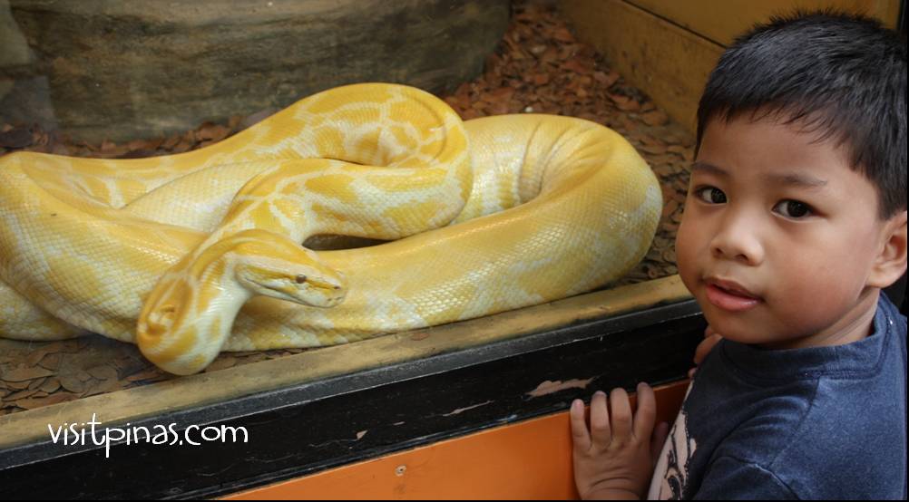 Avilon Zoo (Rodriguez, Rizal)