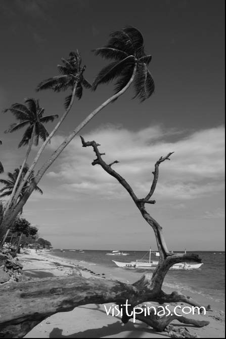 Beach at Panglao Island, Bohol, Philippines