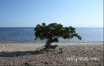 Portion of Beach in Laiya, Batangas