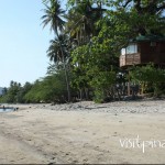 Tree House at Laiya Coco Grove Batangas