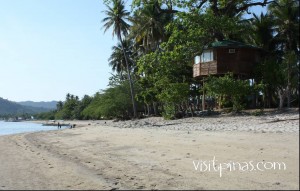 Tree House at Laiya Coco Grove Batangas
