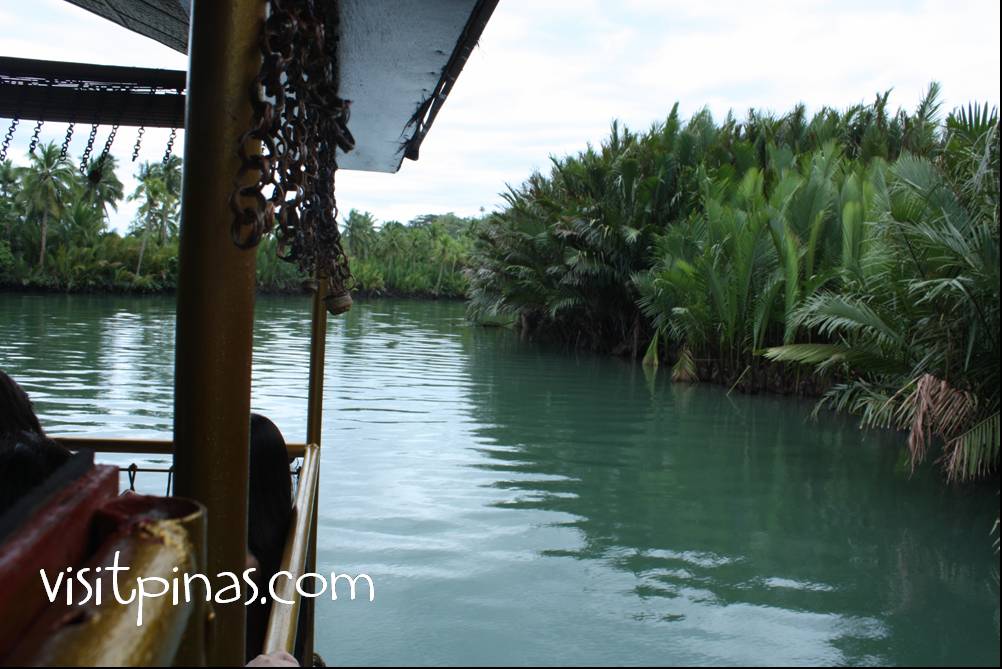 Bohol Trip Itinerary: Enjoying Nature and History