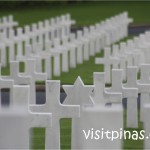 Crosses and Star of David at headstones at Manila American Cemetery Crosses and Star of David at headstones at Manila American Cemetery