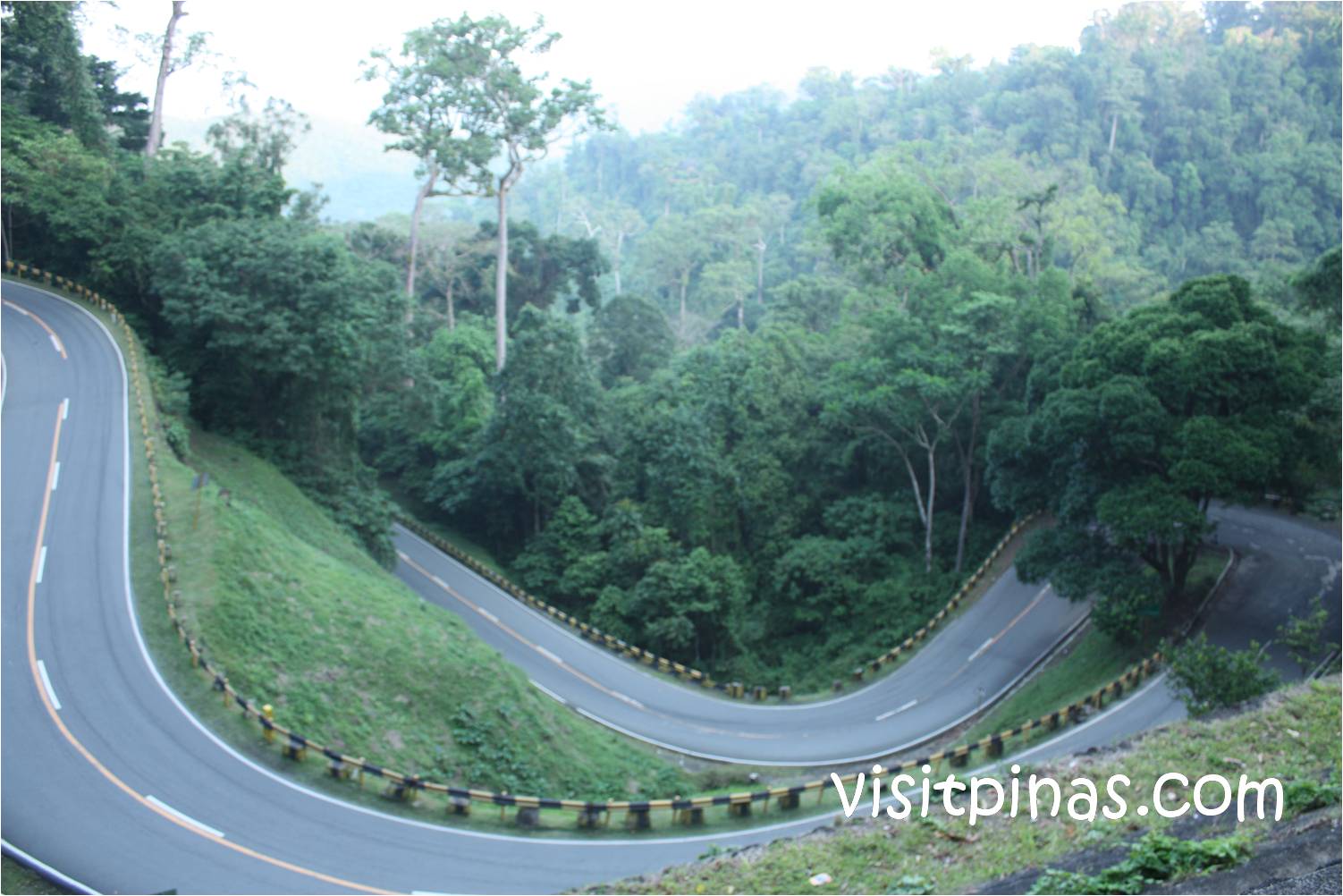 Quezon National Forest Park and Bitukang Manok: Driving Tips when Going to Bicol
