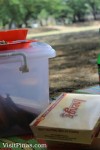 Inengs packaged ready for picnics