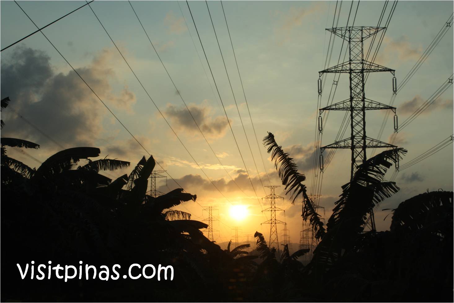 Itinerary from Manila to Bicol (Legaspi and Donsol)