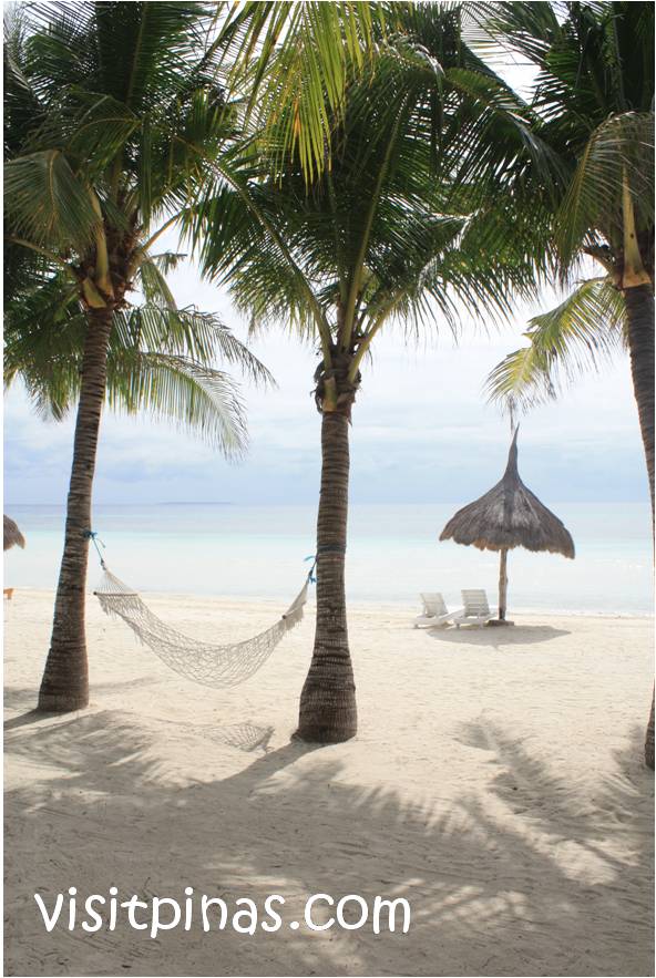Sea and Sand at the Bohol Beach Club