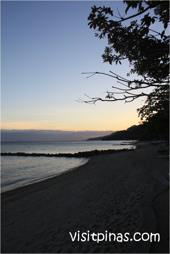 Beach Life in Palm Beach Resort (Laiya, Batangas)
