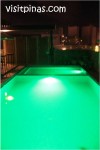 Swimming pool at Cocoon Boutique Hotel, green