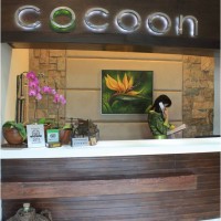 Cocoon Boutique Hotel (Quezon City)