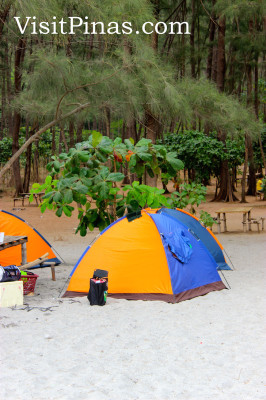 Camping tents at Anawangin Cove, Zambales