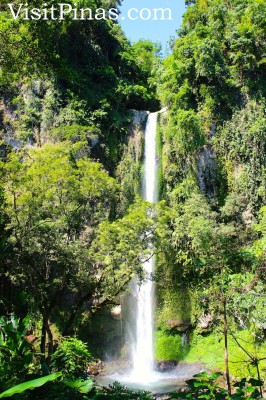 Green foliage at Katibawasan Falls, Camiguin