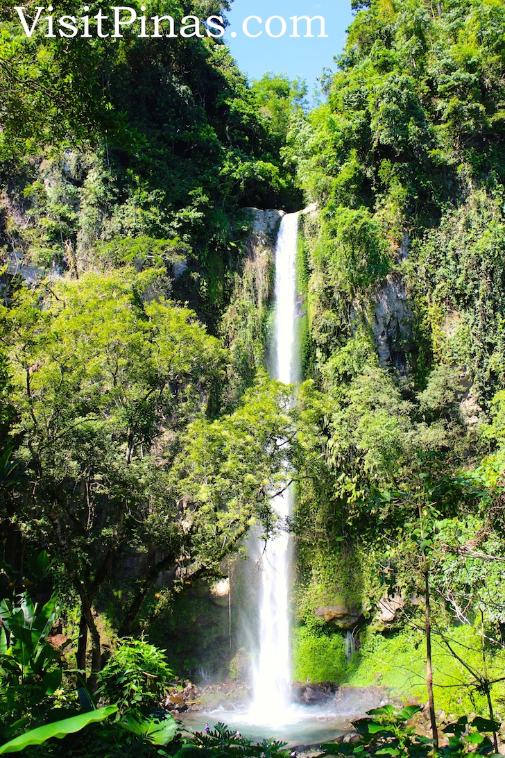 Green foliage at Katibawasan Falls, Camiguin