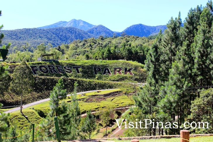 Dahilayan Forest Park, Bukidnon