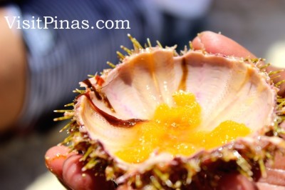 Fresh sea urchin served at White Island, Camiguin