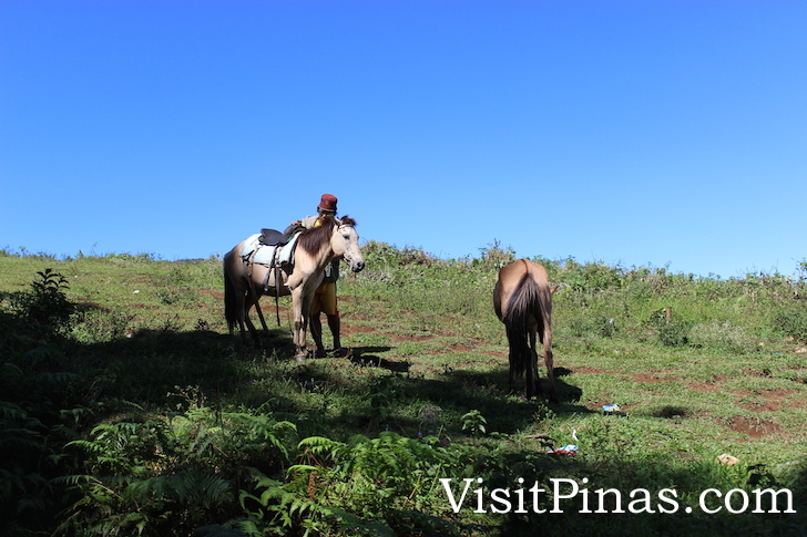 Horseback riding in Dahilayan Park, Bukidnon