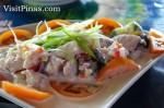 Kinilaw at Bahay Bakasyunan sa Camiguin