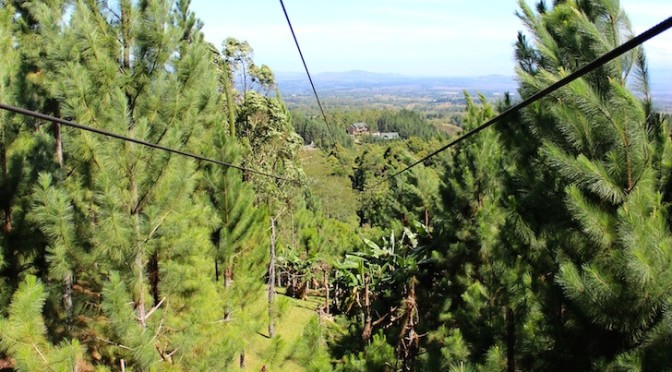 Nature and Excitement at Dahilayan Eco Adventure Park (Bukidnon)