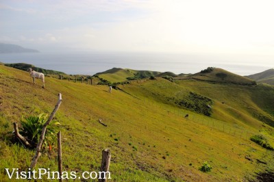 Steep soft hills of Batanes