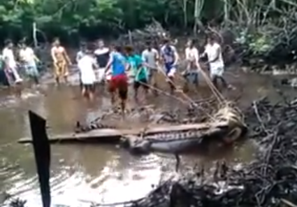 Crocodile Julio Captured in Rio Tuba, Palawan