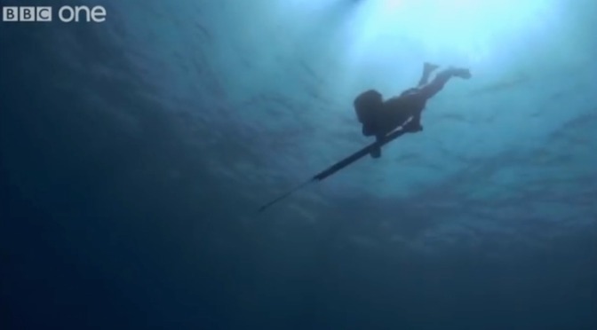 Free Diving: More Fun in the Philippines