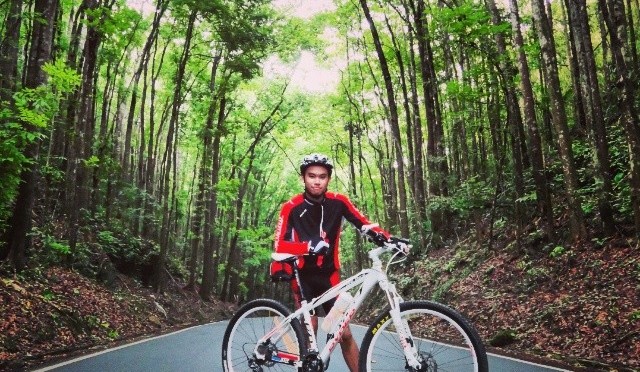 Photo of the Day: Bike and Man-made Forest