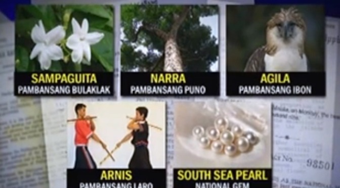 Getting to Know the Philippines’ National Symbols