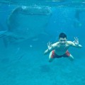 Whale Shark in Oslob Cebu (by Selmar Maribojo III)