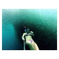 Moalboal Cebu diving by miri020988