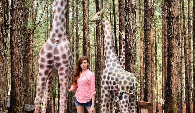 Photo of the Day: Long-Legged Philippines