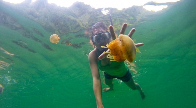 Photo of the Day: Grab a Jelly