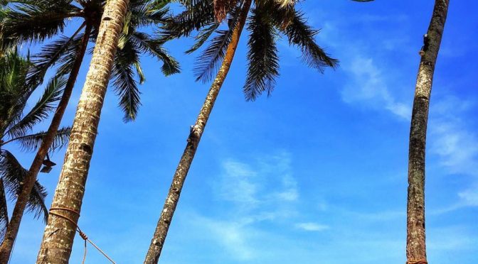 The Smiling Hammock of Sabang, Puerto Princesa: Photo of the Day