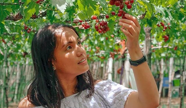 The Grapes of La Union (and the Model): Photo of the Day