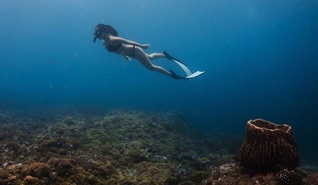 Grace Under Pressure: Philippine Freediving Stories