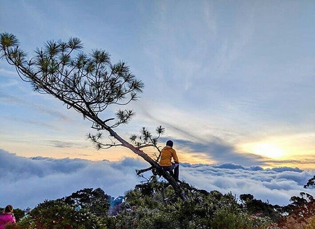 Mt. Kalawitan, Mountain Province